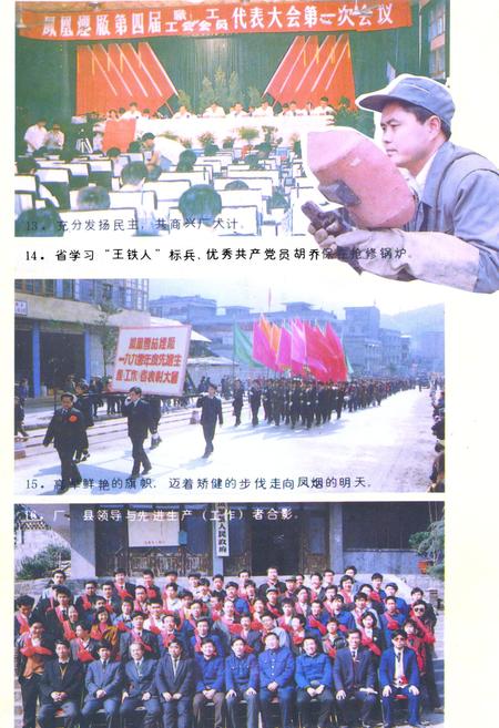 《《凤凰雪茄烟厂志》》.pdf电子版_湖南省志插图5