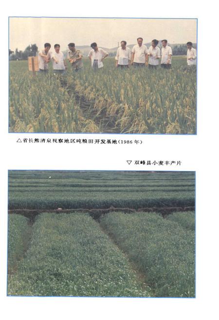 《娄底地区农业志》.pdf电子版_湖南省志插图5 《娄底地区农业志》.pdf电子版_湖南省志插图5