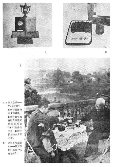 《《安化县茶叶志》》.pdf电子版_湖南省志插图4 《《安化县茶叶志》》.pdf电子版_湖南省志插图4
