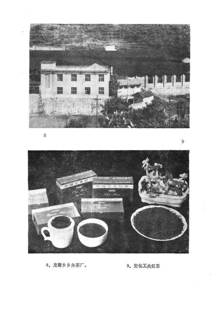 《《安化县茶叶志》》.pdf电子版_湖南省志插图5 《《安化县茶叶志》》.pdf电子版_湖南省志插图5