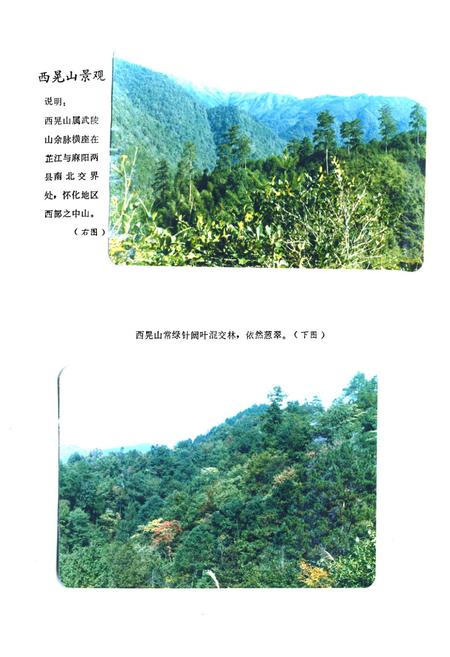 《《怀化地区土壤志》》.pdf电子版_湖南省志插图2 《《怀化地区土壤志》》.pdf电子版_湖南省志插图2