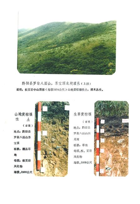 《《怀化地区土壤志》》.pdf电子版_湖南省志插图3 《《怀化地区土壤志》》.pdf电子版_湖南省志插图3