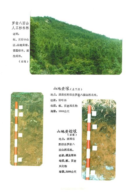 《《怀化地区土壤志》》.pdf电子版_湖南省志插图4 《《怀化地区土壤志》》.pdf电子版_湖南省志插图4