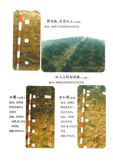 《《怀化地区土壤志》》.pdf电子版_湖南省志插图5 《《怀化地区土壤志》》.pdf电子版_湖南省志插图5
