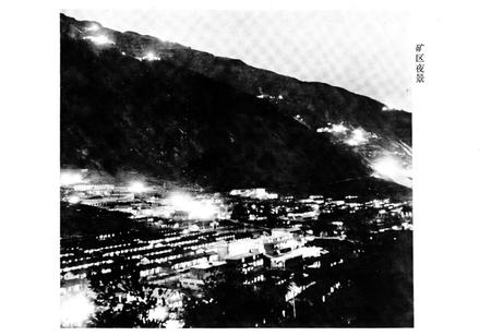 《《瑶岗仙鹤矿志》(1914-1980)》.pdf电子版_湖南省志插图4