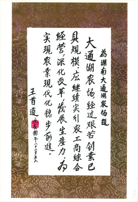 《《大通湖农场志》》.pdf电子版_湖南省志插图3