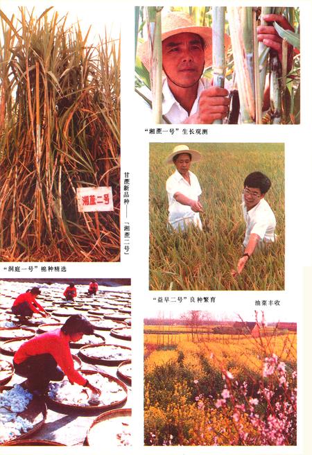 《《大通湖农场志》》.pdf电子版_湖南省志插图5