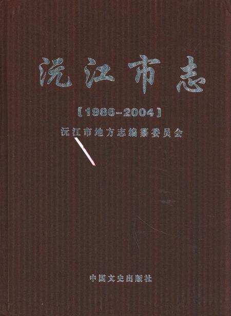 《《沅江市志》(1986-2004)》.pdf电子版_湖南省志