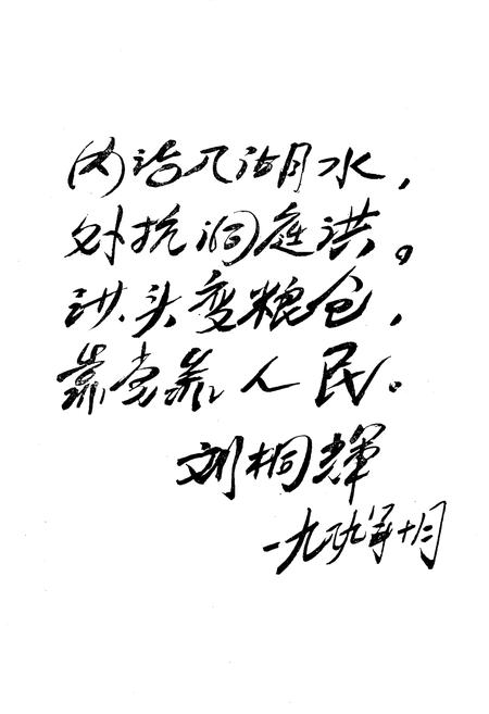 《《民主垸水利志》》.pdf电子版_湖南省志插图4