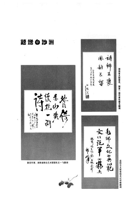 《《白沙洲村文化志》》.pdf电子版_湖南省志插图5