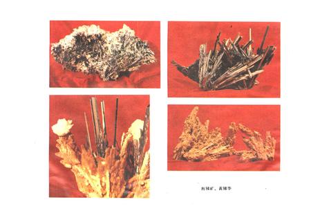 《锡矿山锑矿志(1897-1981)》.pdf电子版_湖南省志插图3