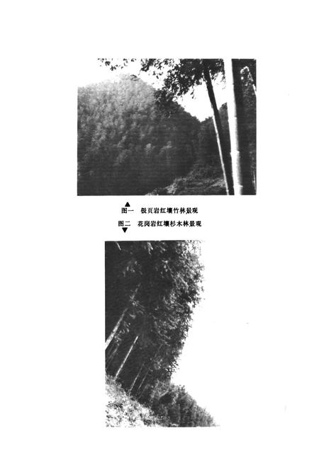 《桃江县土壤志》.pdf电子版_湖南省志插图3