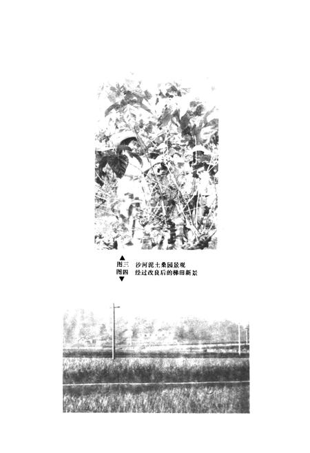 《桃江县土壤志》.pdf电子版_湖南省志插图4