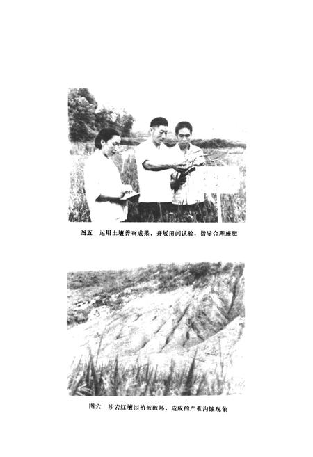 《桃江县土壤志》.pdf电子版_湖南省志插图5