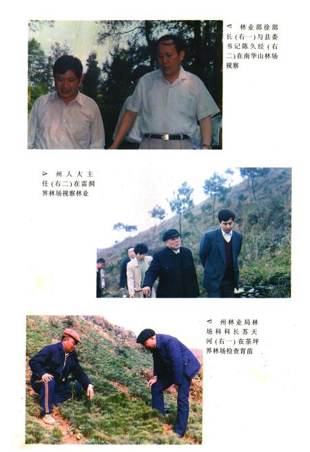 《《凤凰县林业志》》.pdf电子版_湖南省志预览图4