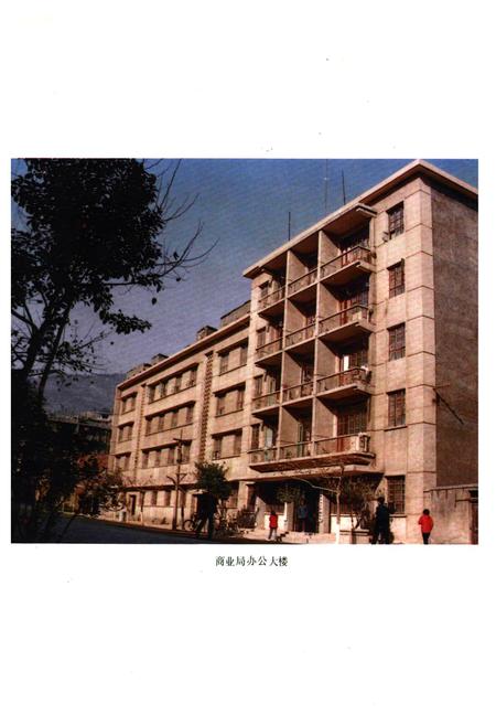 《《长阳商业志》》.pdf电子版_湖南省志插图4 《《长阳商业志》》.pdf电子版_湖南省志插图4