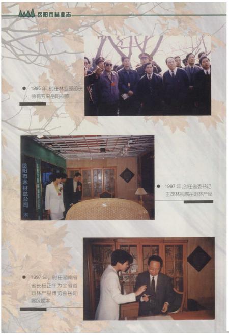 《《岳阳市林业志》》.pdf电子版_湖南省志预览图3