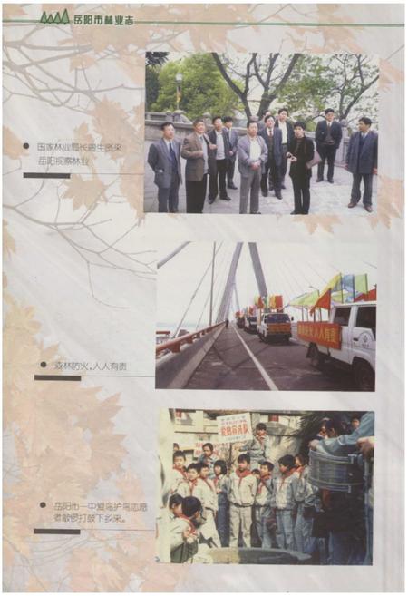 《《岳阳市林业志》》.pdf电子版_湖南省志预览图5