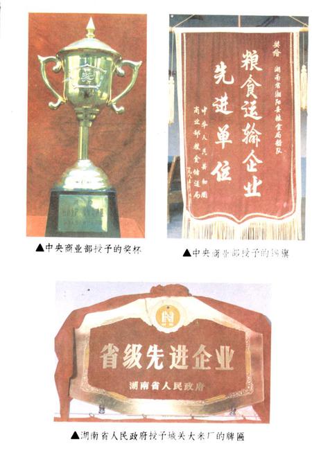 《湘阴县粮食志》.pdf电子版_湖南省志插图3 《湘阴县粮食志》.pdf电子版_湖南省志插图3