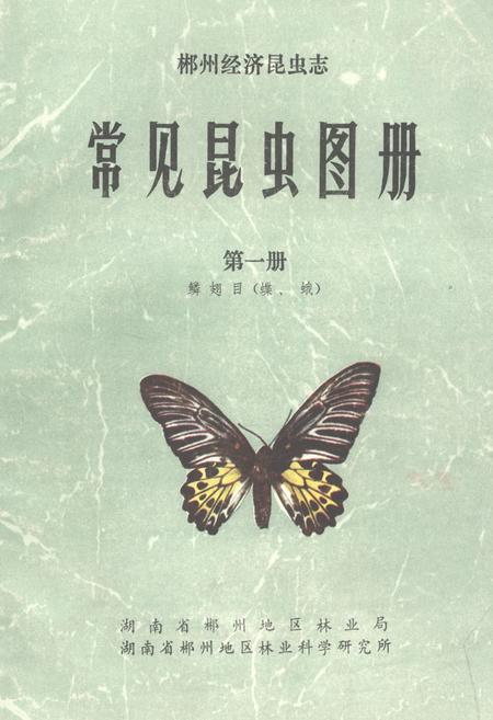 《《常见昆虫图册·第一册鳞翅目(蝶、蛾)》》.pdf电子版_湖南省志插图 《《常见昆虫图册·第一册鳞翅目(蝶、蛾)》》.pdf电子版_湖南省志插图