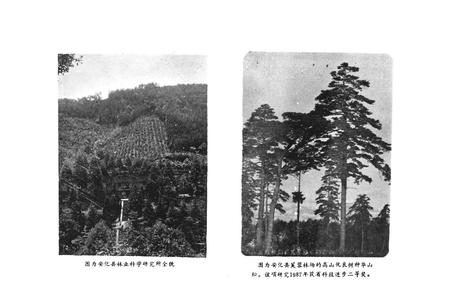 《《安化县科学技术志(1840-1988)》》.pdf电子版_湖南省志插图4 《《安化县科学技术志(1840-1988)》》.pdf电子版_湖南省志插图4