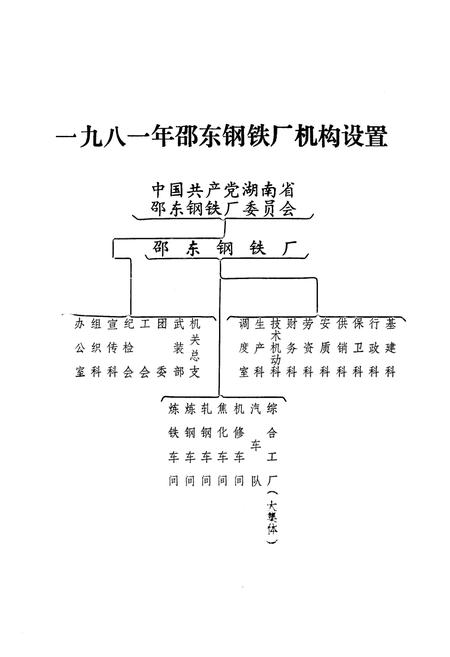 《《湖南省邵东钢铁厂志 第一卷(1956-1981)》》.pdf电子版_湖南省志插图2
