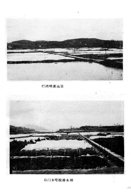 《《怀化市蔬菜志》》.pdf电子版_湖南省志插图5 《《怀化市蔬菜志》》.pdf电子版_湖南省志插图5