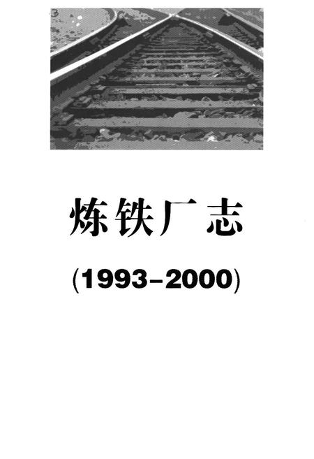 《炼铁厂志(1993-2000)》.pdf电子版_湖南省志插图1