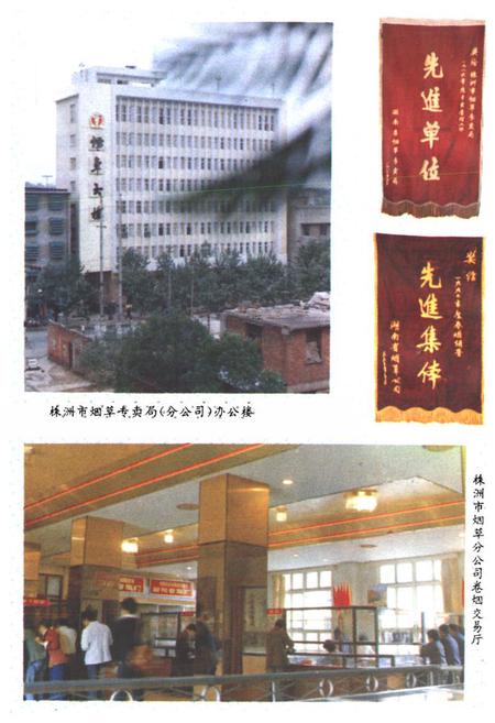 《株洲市烟草志》.pdf电子版_湖南省志插图5