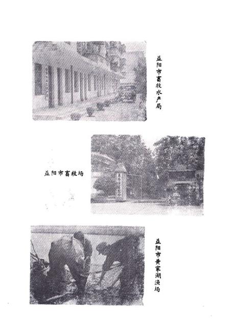 《益阳市畜牧水产志》.pdf电子版_湖南省志插图3