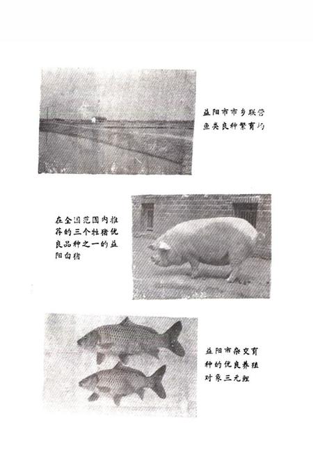 《益阳市畜牧水产志》.pdf电子版_湖南省志插图4