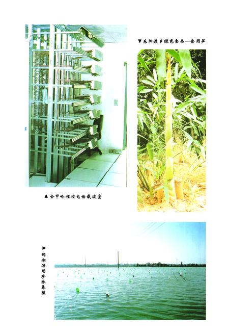 《《衡阳市郊区续志》》.pdf电子版_湖南省志插图5