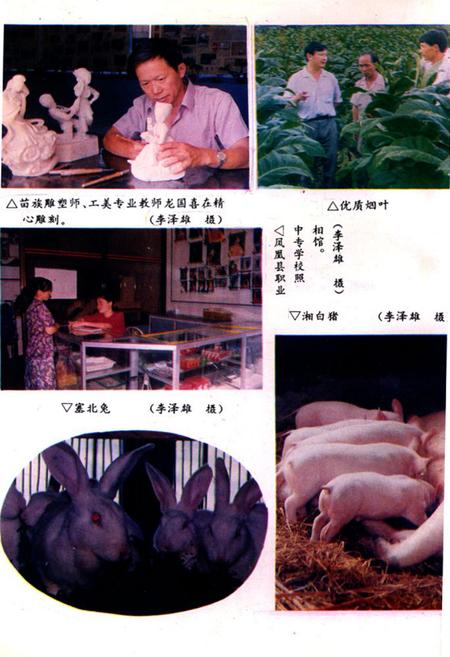 《凤凰县职业中专学校十年志(1984-1994)》.pdf电子版_湖南省志插图3