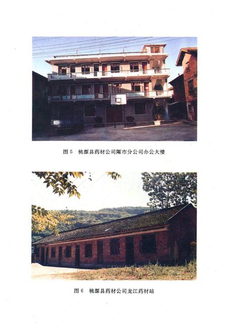 《桃源县志·第十四卷·药业志》.pdf电子版_湖南省志插图4