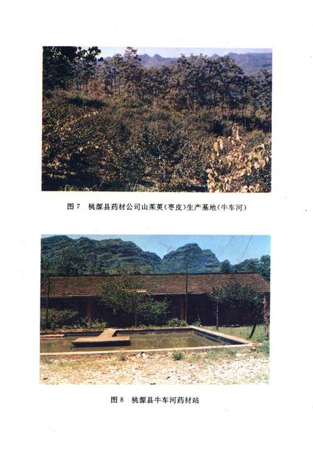 《桃源县志·第十四卷·药业志》.pdf电子版_湖南省志插图5