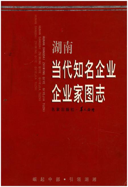 《湖南 当代知名企业·企业家图志》.pdf电子版_湖南省志