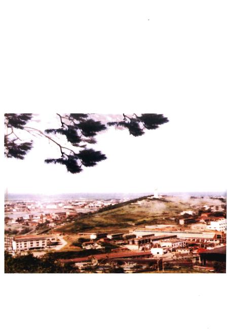 《湘澧盐矿大事记》.pdf电子版_湖南省志插图3