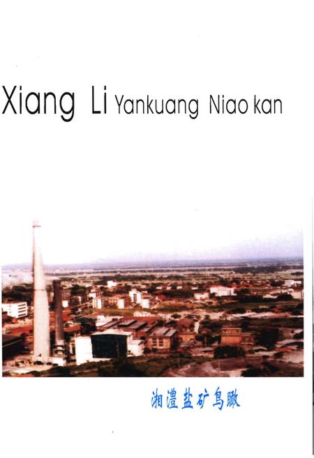 《湘澧盐矿大事记》.pdf电子版_湖南省志插图4