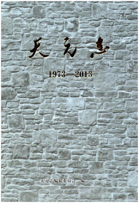 《天元志1973-2013》.pdf电子版_湖南省志插图