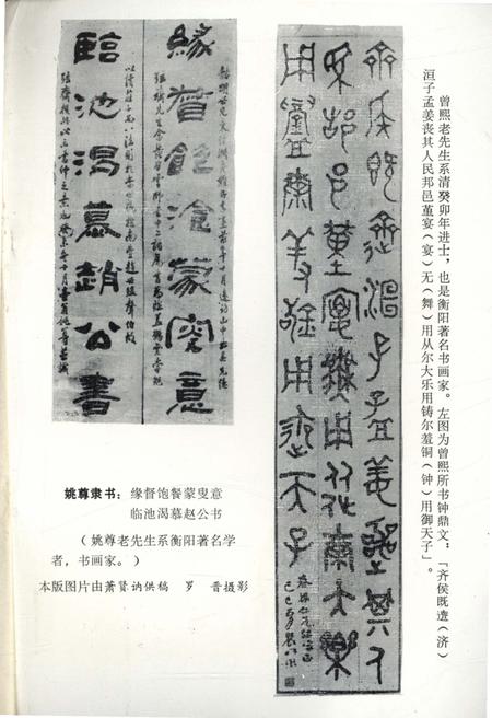 《衡阳文史资料 第五辑》.pdf电子版_湖南省志插图3