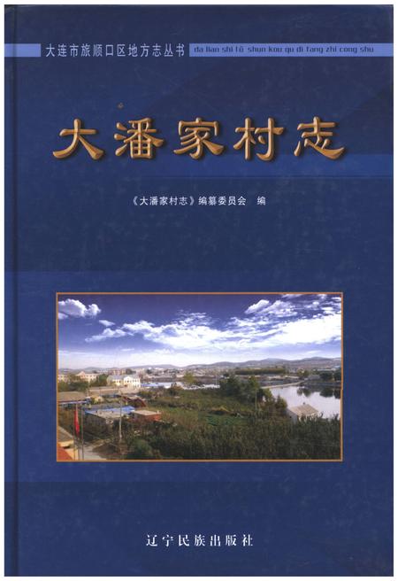 《大潘家村志》.pdf电子版_湖南省志插图