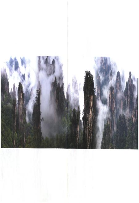 《武陵源区志》.pdf电子版_湖南省志插图4