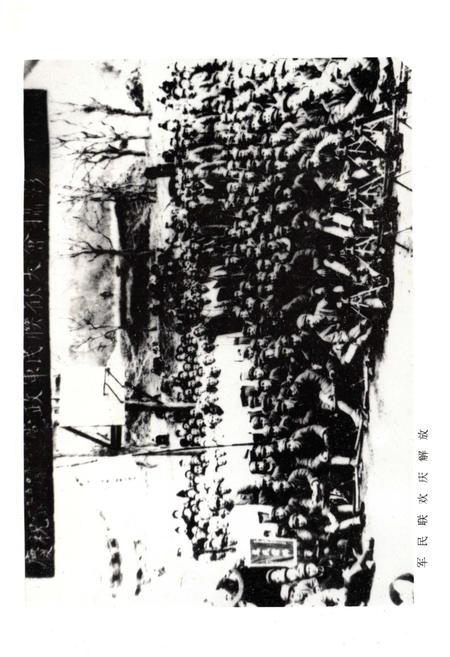 《临武县志 1989》.pdf电子版_湖南省志插图3