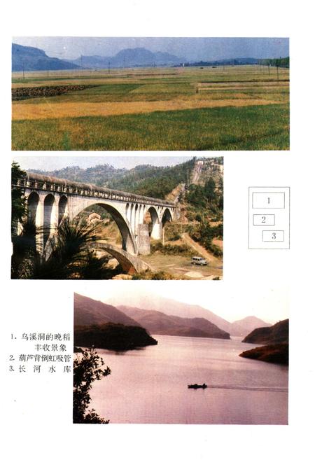 《临武县志 1989》.pdf电子版_湖南省志插图5