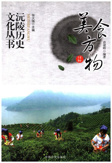 《沅陵历史文化丛书 美食方物》.pdf电子版_湖南省志