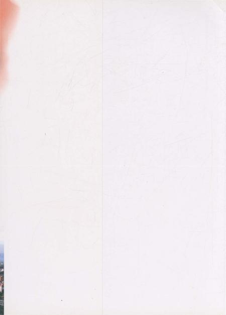 《岳阳解放60年100件大事图志》.pdf电子版_湖南省志插图1