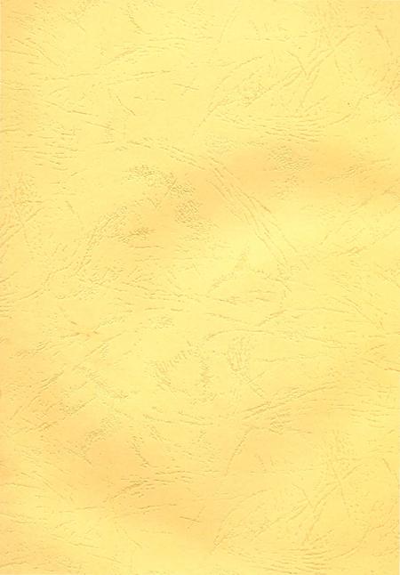 《洪江市发展和改革志（1949-2010）》.pdf电子版_湖南省志插图2