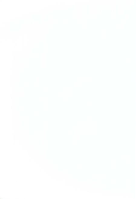 《五里桥村志》.pdf电子版_湖南省志插图2