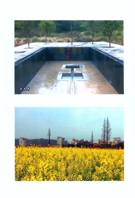 《五里桥村志》.pdf电子版_湖南省志插图5