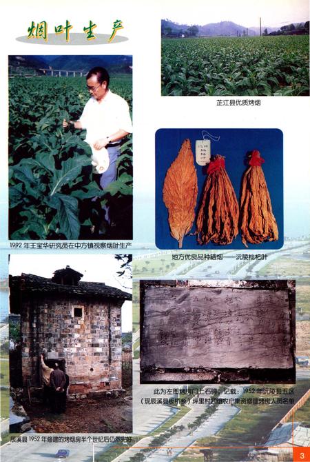 《怀化烟草志》.pdf电子版_湖南省志插图4 《怀化烟草志》.pdf电子版_湖南省志插图4